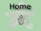 Home Page Button