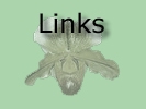 Links Page Button