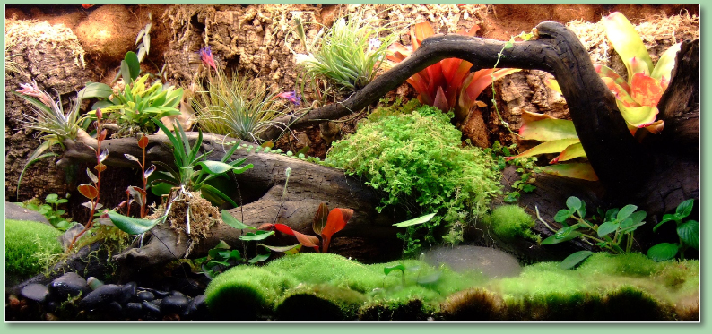 Terrarium Page Main Logo
